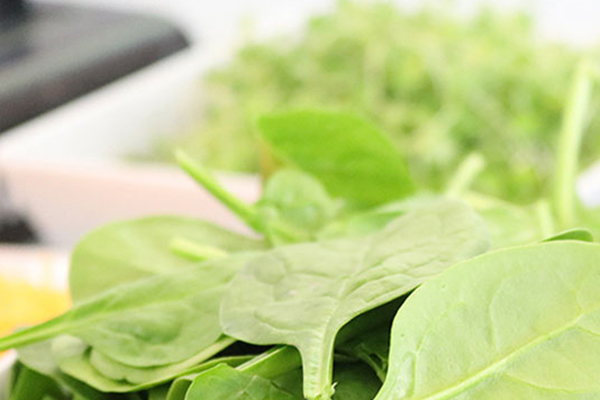 怎样使作物绿色无污染,次氯酸做到了 怎样使作物绿色无污染,次氯酸做到了