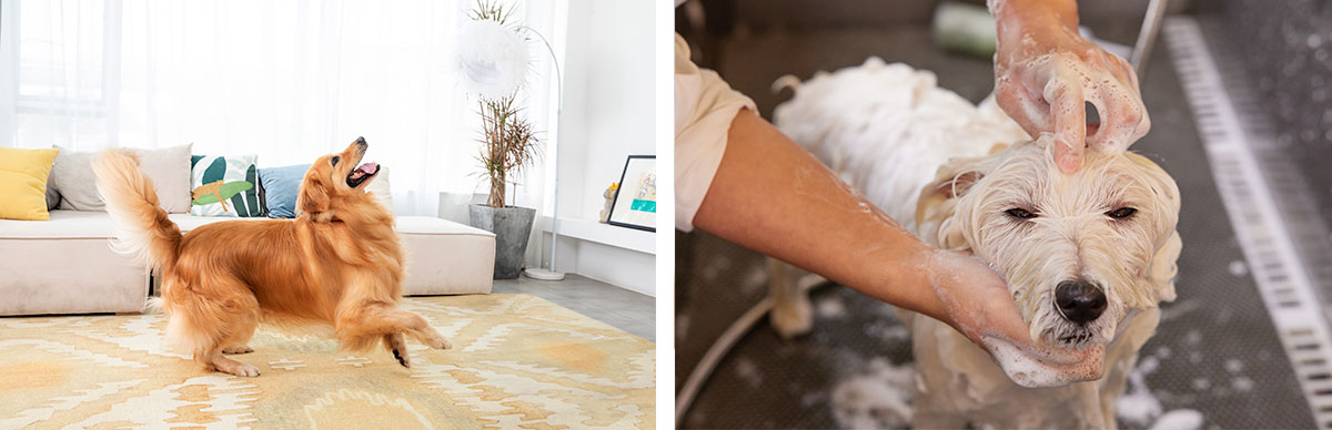 次氯酸发生器设备