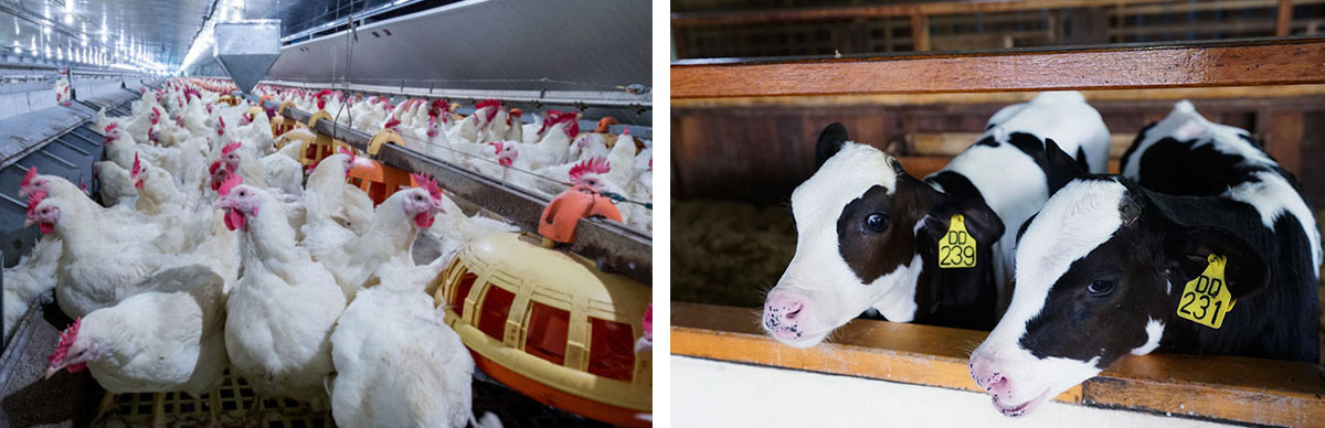 次氯酸水消毒设备