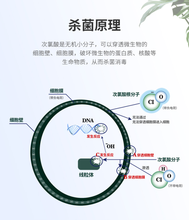 1644455280516069.png 641.png