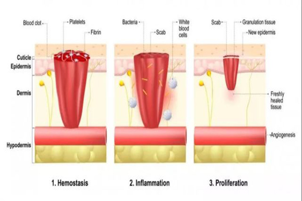 1644457956117812.jpg 641 (2).jpg