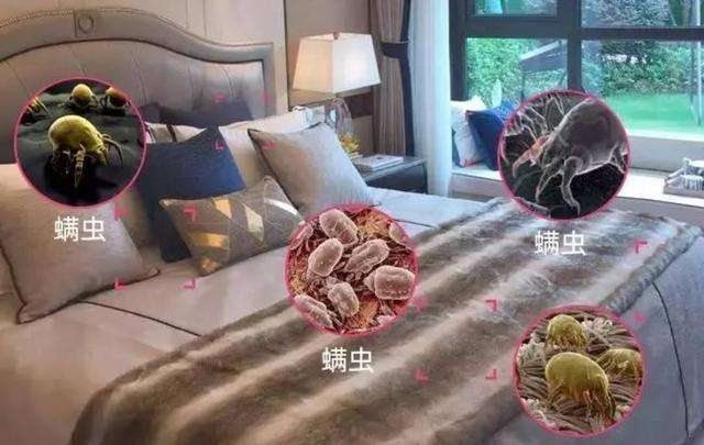 1644458903290104.png 微信图片_20220210100804.png