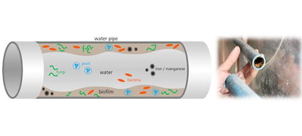 牙科专用次氯酸发生器
