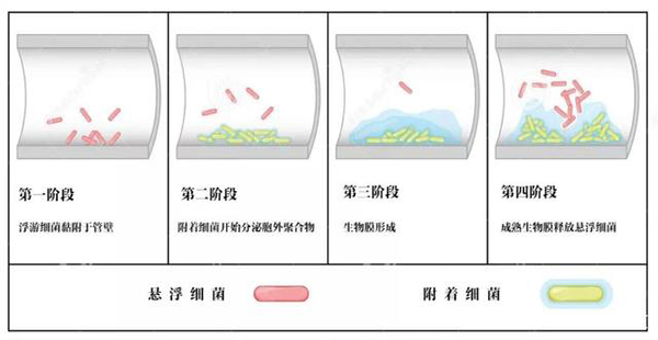 牙科专用次氯酸发生器