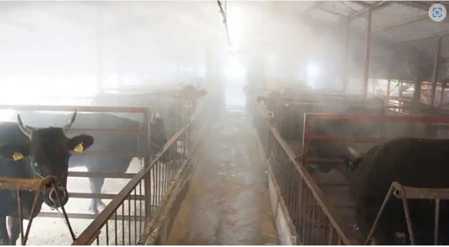 次氯酸雾化应用