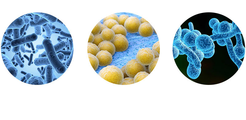 次氯酸发生器原理