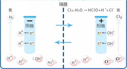 次氯酸发生器原理 次氯酸发生器原理