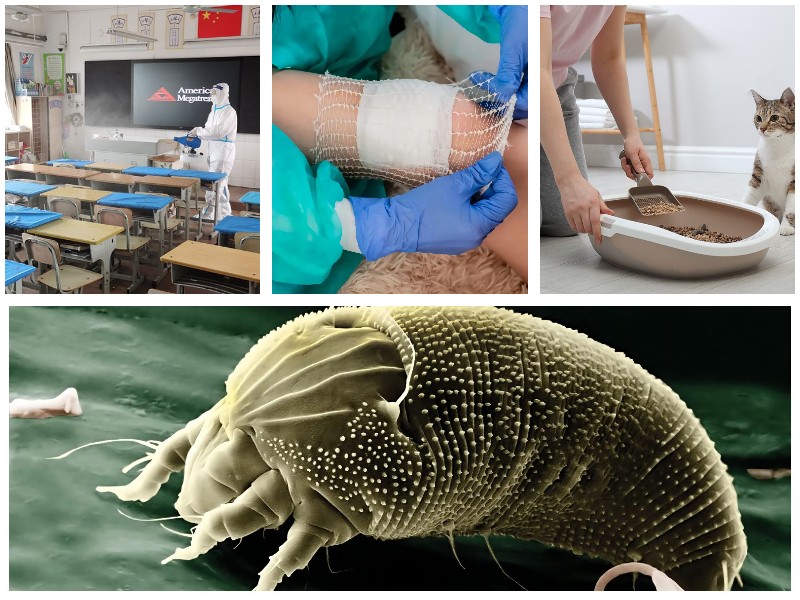 次氯酸的六大功能你知道几个-盛怀次氯酸发生器 次氯酸的六大功能你知道几个-盛怀次氯酸发生器