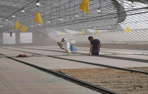 次氯酸发生器 次氯酸发生器