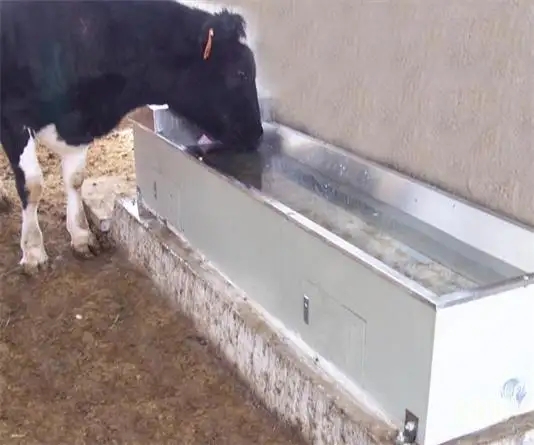 1670373732629838.jpg 牛1.webp.jpg