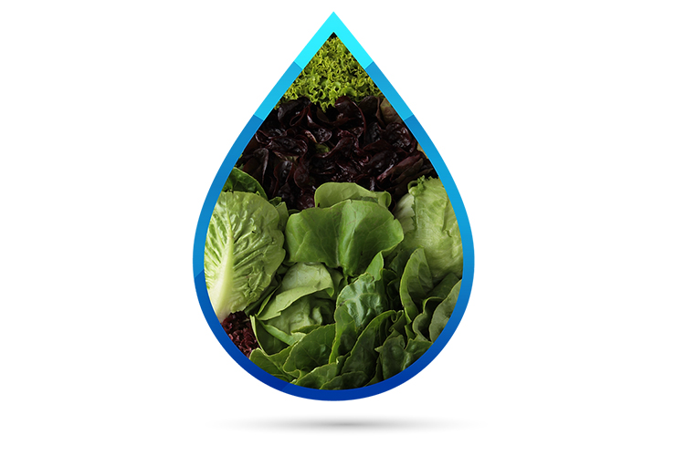 1670553065938817.jpg 11.04.jpg