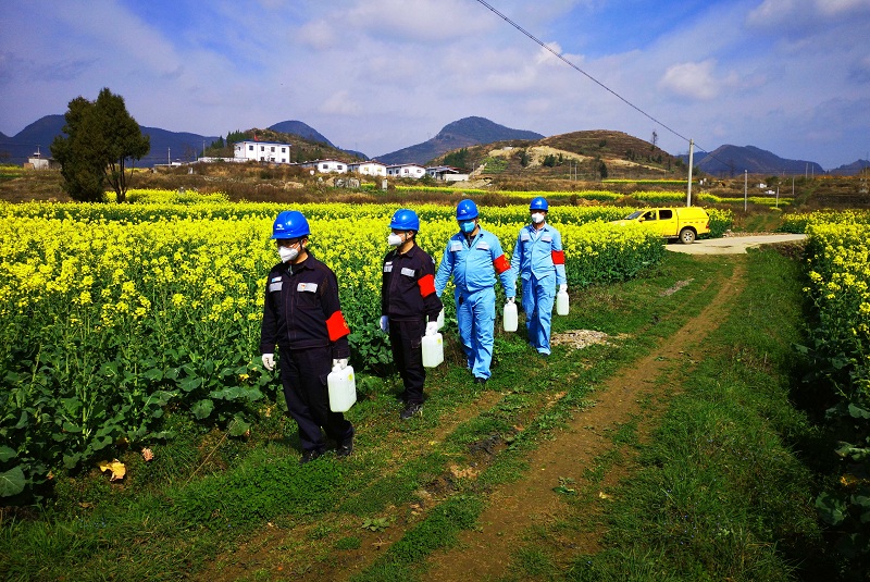 次氯酸农作物消毒 次氯酸农作物消毒