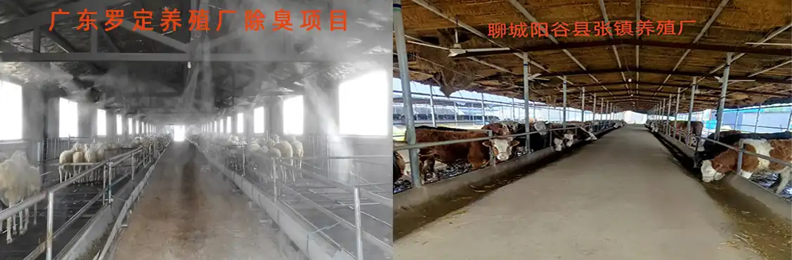 国内客户案例养殖除臭.png