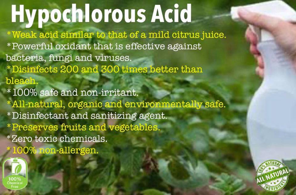 次氯酸种植业应用 次氯酸种植业应用