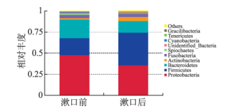 微酸性电解水漱口7d 后 微酸性电解水漱口7d 后