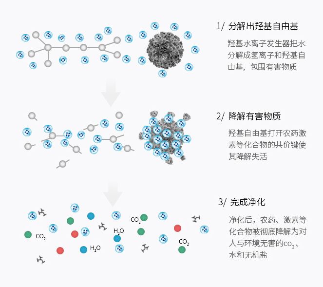 某品牌果蔬清洗机技术原理介绍 某品牌果蔬清洗机技术原理介绍