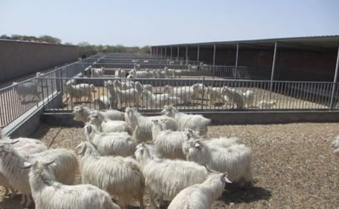 盛怀次氯酸发生器可对畜禽舍进行消毒 盛怀次氯酸发生器可对畜禽舍进行消毒