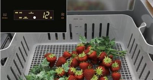 次氯酸水可用来清洗水果