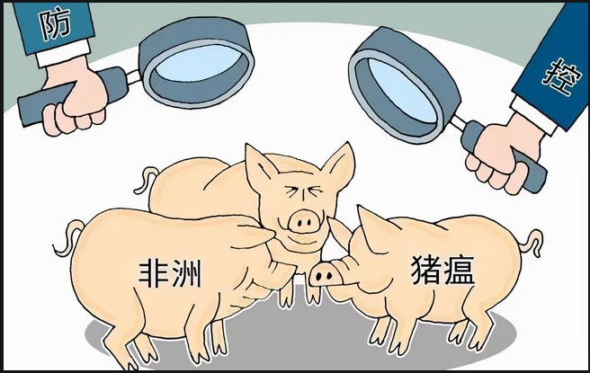 盛怀次氯酸水对猪场养殖行业效果明显