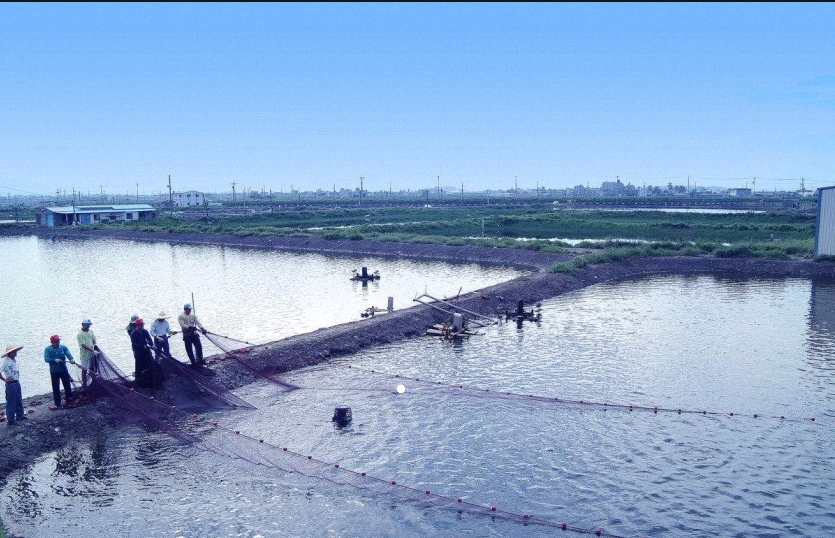 盛怀次氯酸水在水产加工业的使用 盛怀次氯酸水在水产加工业的使用