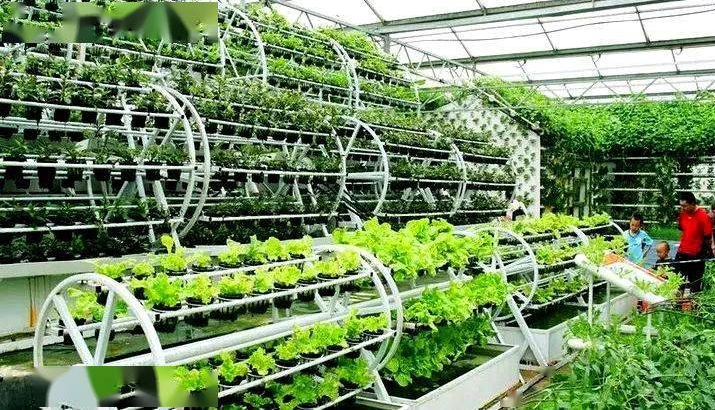 次氯酸水可有效用在农业种植生产中