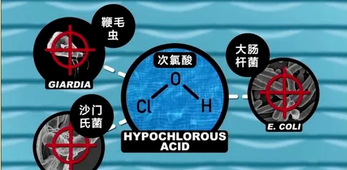 次氯酸杀菌原理