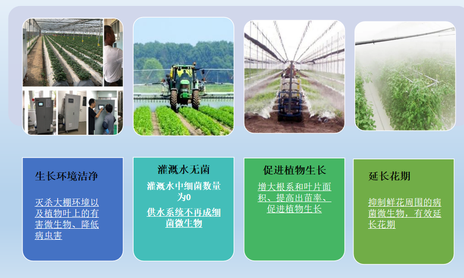 次氯酸发生器在花卉养殖方面可以实现的效果