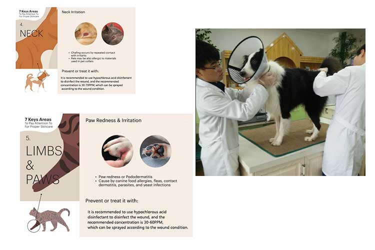 次氯酸水在养狗养猫方面的应用 次氯酸水在养狗养猫方面的应用