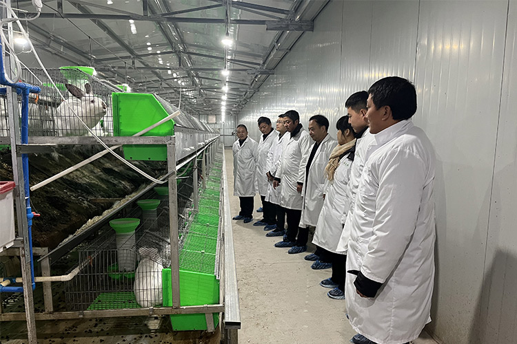 次氯酸发生器用于养殖