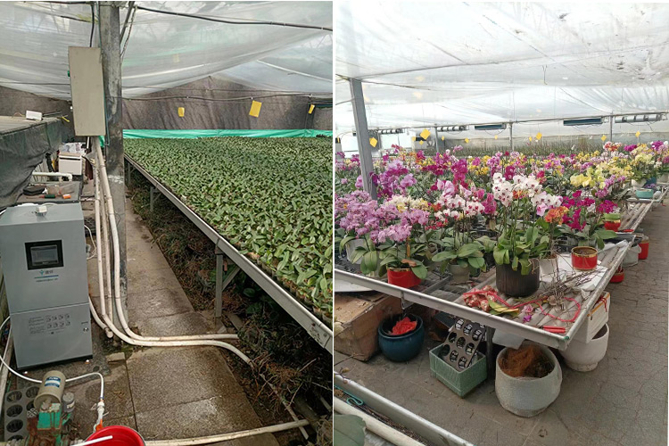 次氯酸发生器用于农业种植