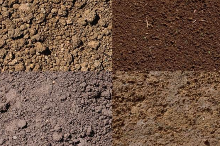 次氯酸发生器土壤调节 次氯酸发生器土壤调节